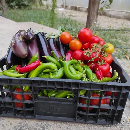 דירה Patara Village Home *